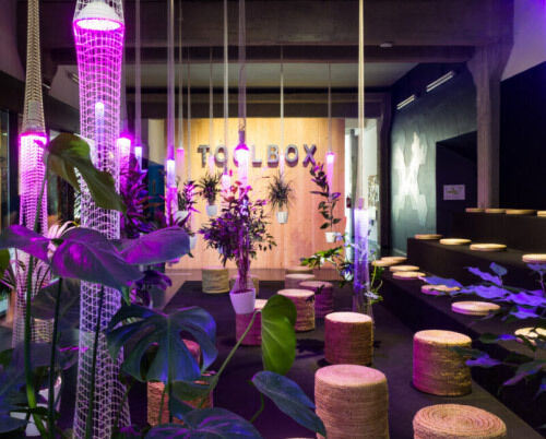 Stefano Borghi DSCF7073 Mid 5