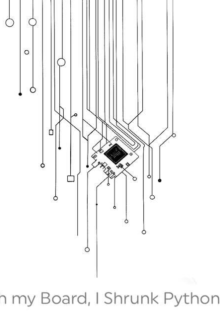 Copertina micropython