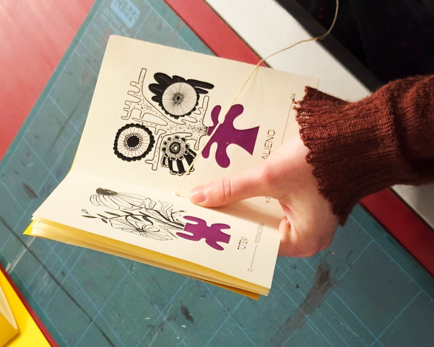 68e5011819cee241533217