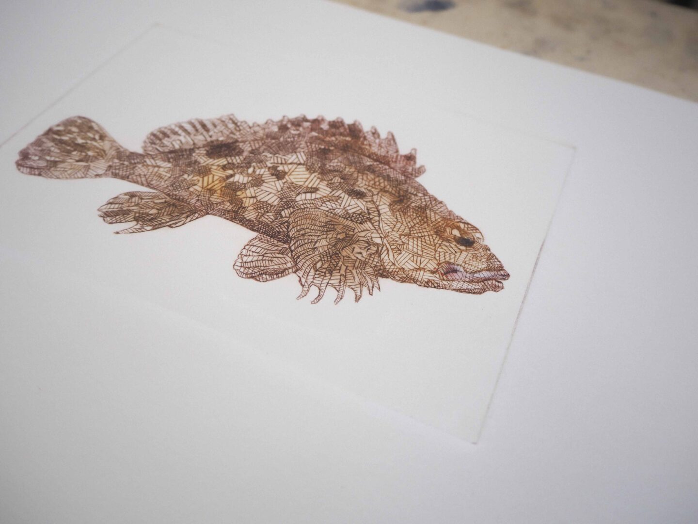 69401fe1eae9f638812659