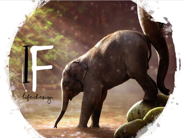 76 EBFAC2 4906 47 ED BE82 8433 AA7 B02 C1