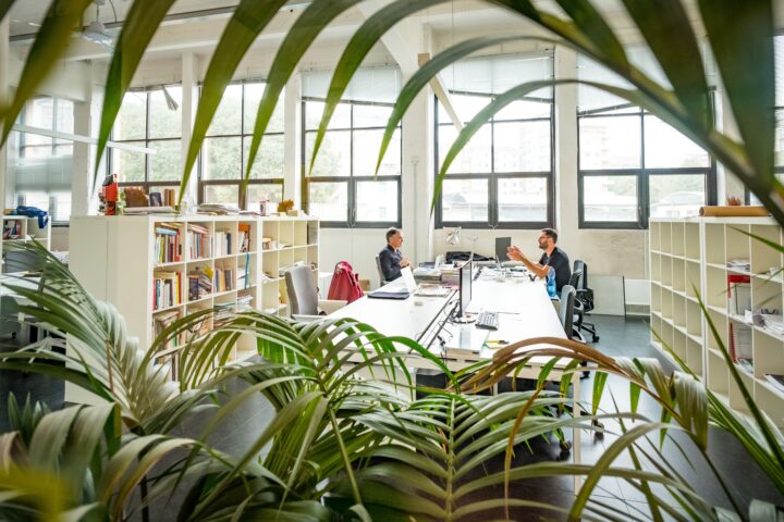 Acquario - Toolbox Coworking